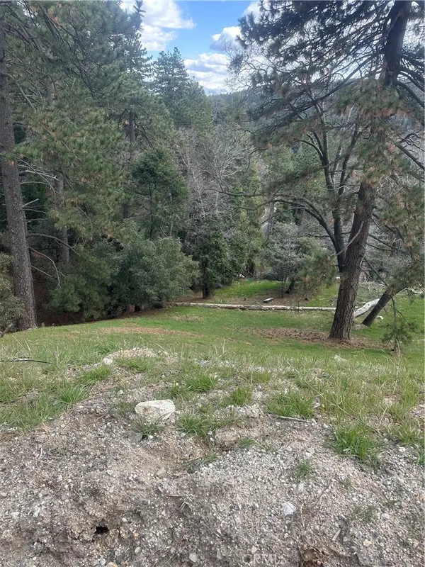 0 Fern Canyon, Cedarpines Park, CA 92322