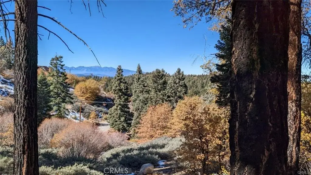 0 San Antonio Drive, Green Valley Lake, CA 92341 - #1
