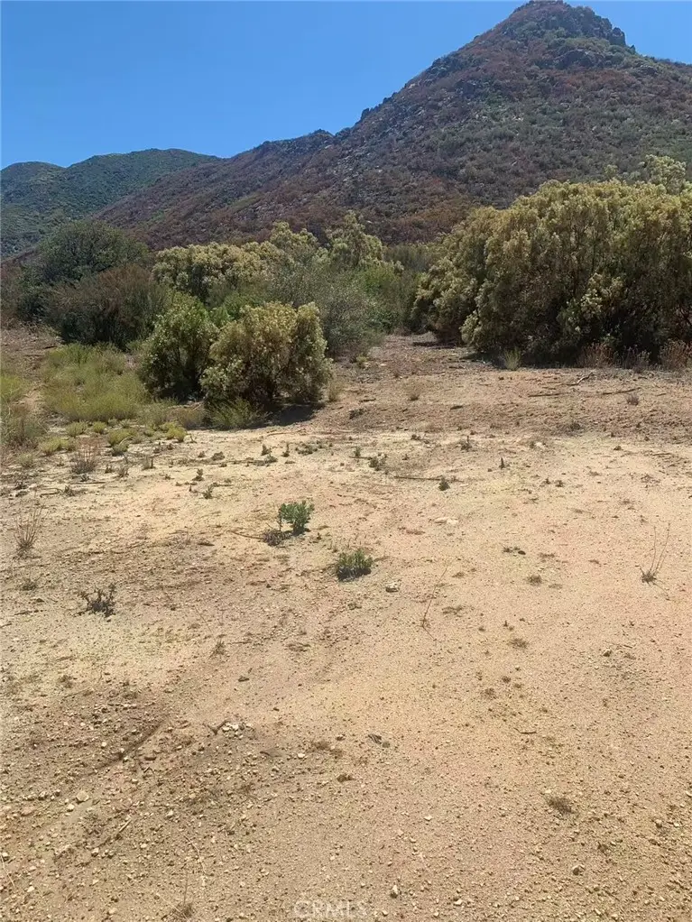 57775 Running Springs Road, Anza, CA 92539 - #2
