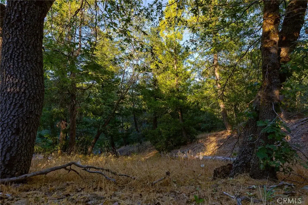0 Ridge Drive, Cedarpines Park, CA 92322 - #1