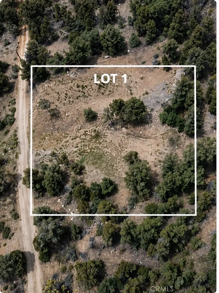 45814 Falling Springs, Big Bear City, CA 92314 - #1
