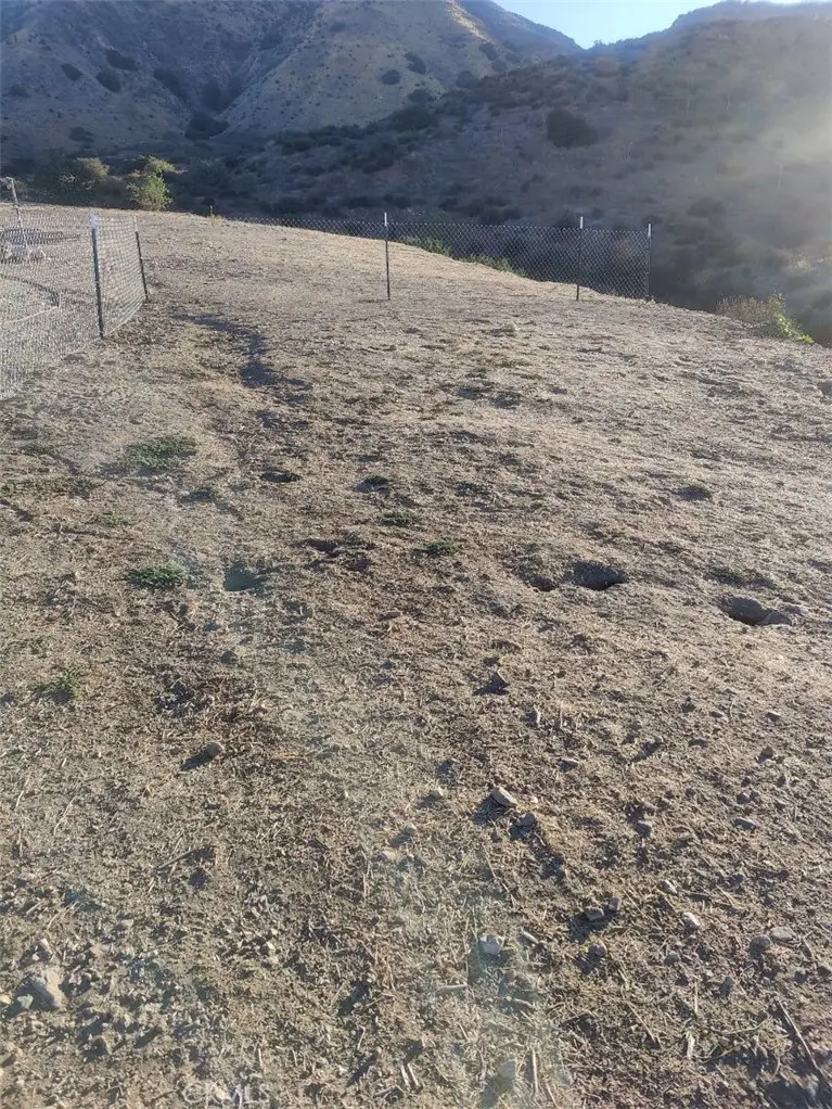 11111 Gastone Dr, Kagel Canyon, CA 91342 - #2