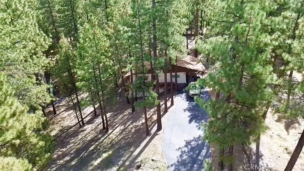 5809 Pine Street, Wrightwood, CA 92397 - #1
