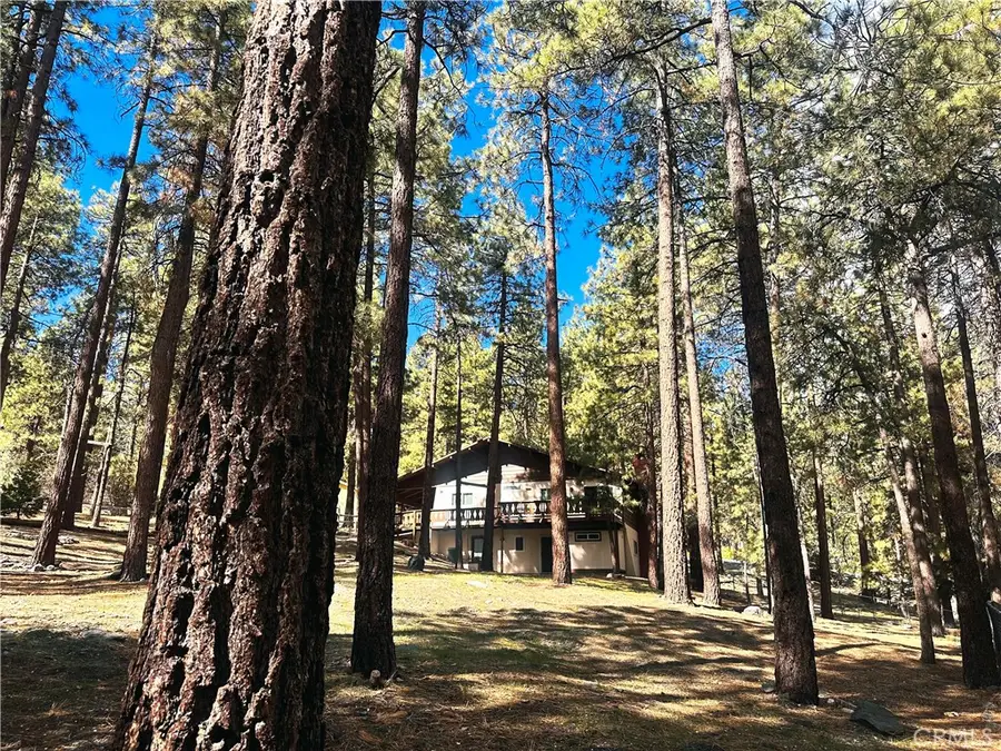 5809 Pine Street, Wrightwood, CA 92397 - #3