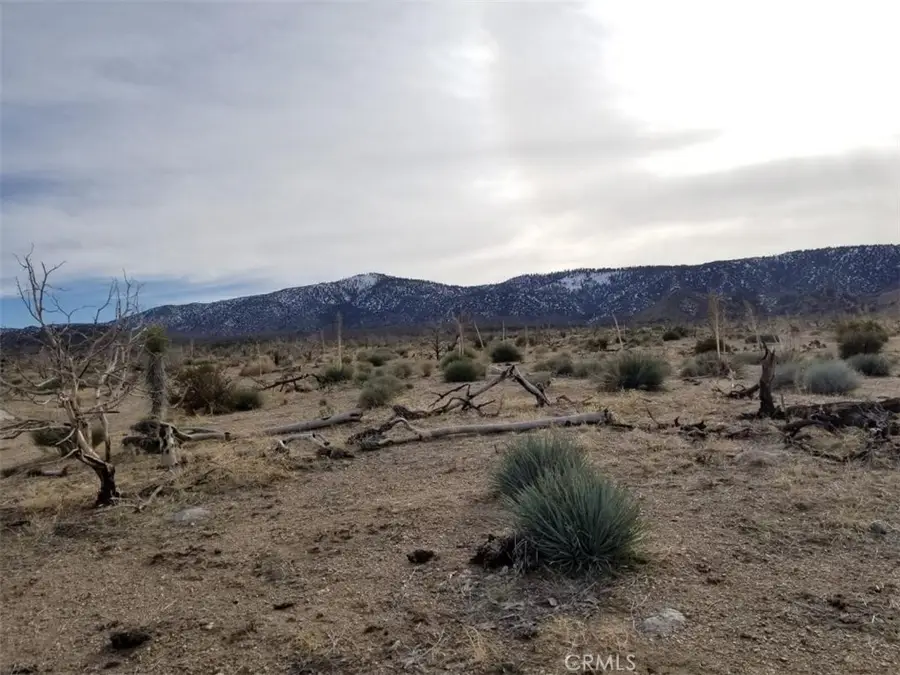 260 Avenue Z14/260 Ste, Llano, CA 93544 - #2