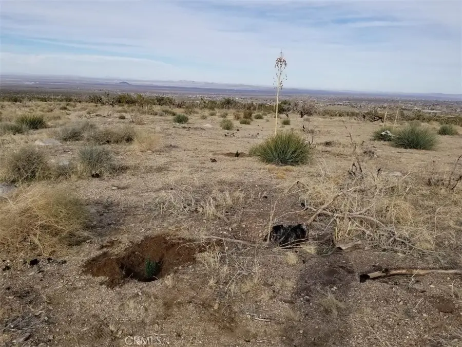 260 Avenue Z14/260 Ste, Llano, CA 93544 - #3