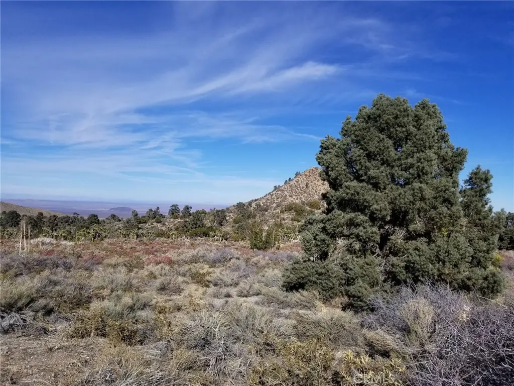 0 Vac/vic Avenue Z14/235 Ste, Llano, CA 93544 - #1