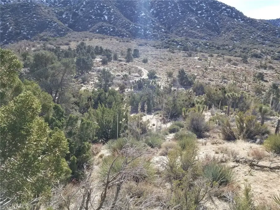 0 Vac/vic Avenue Z14/235 Ste, Llano, CA 93544 - #2