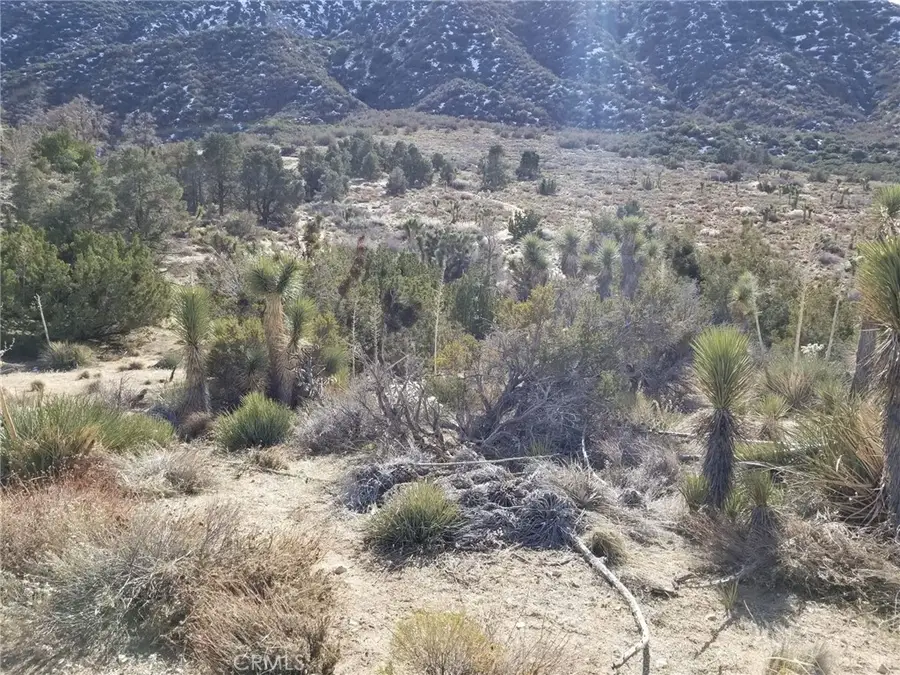 0 Vac/vic Avenue Z14/235 Ste, Llano, CA 93544 - #3