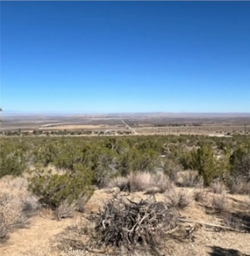 0 Y8/vic Vac Avenue, Llano, CA 93544 - #1