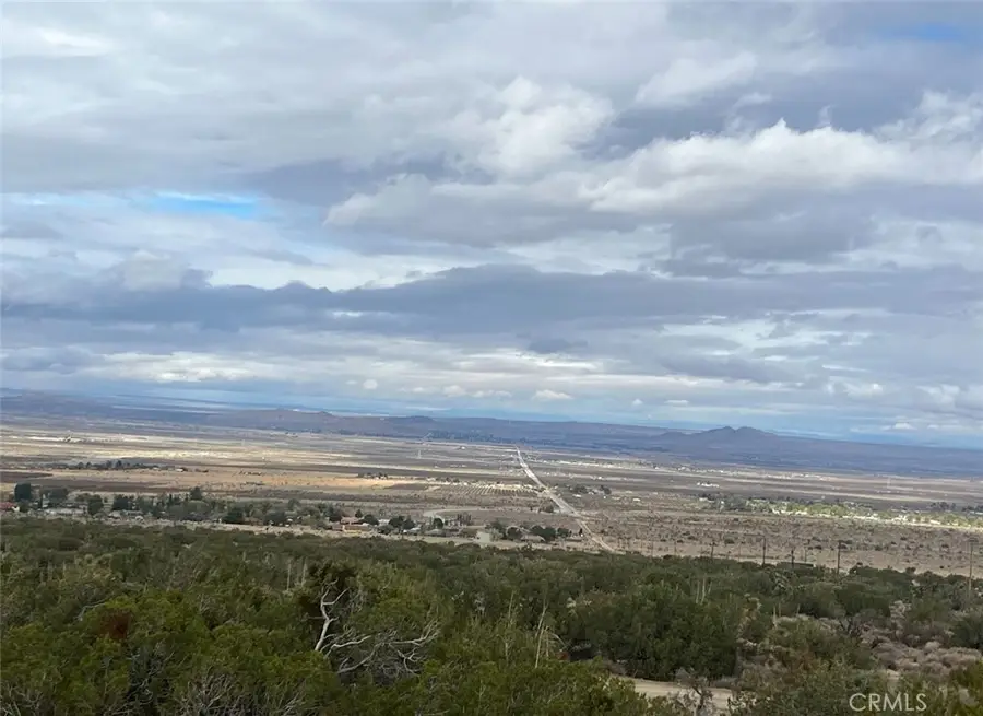 0 Y8/vic Vac Avenue, Llano, CA 93544 - #3