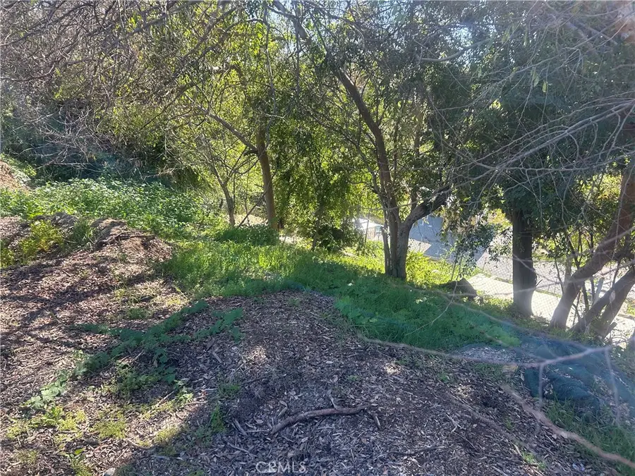 4042 Harriman, Los Angeles, CA 90032 - Image #2