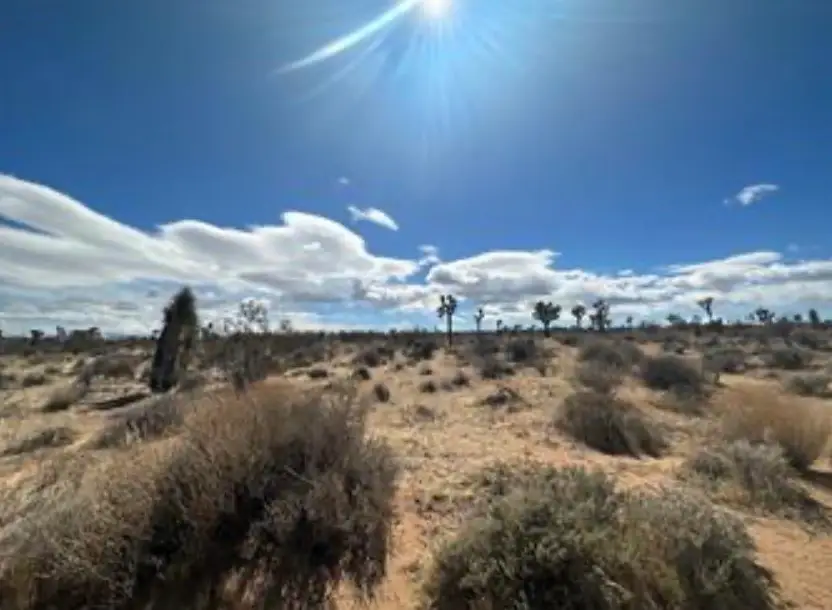 1 Sunny Sands, Yucca Valley, CA 92284 - #1