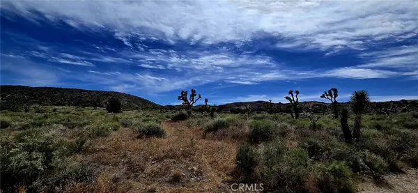 8900 Bainard Canyon Road, Littlerock, CA 93550