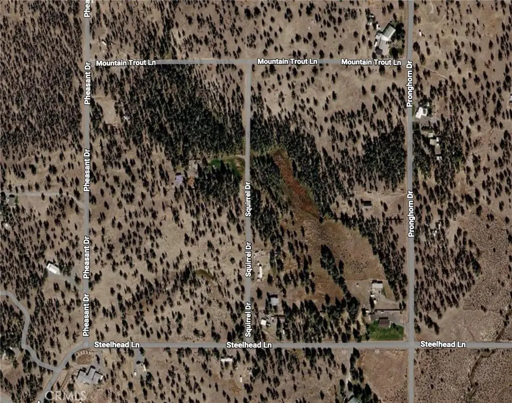 0 Pheasant Drive, Alturas, CA 96101 - #1