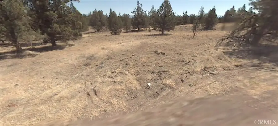0 Pheasant Drive, Alturas, CA 96101 - #3