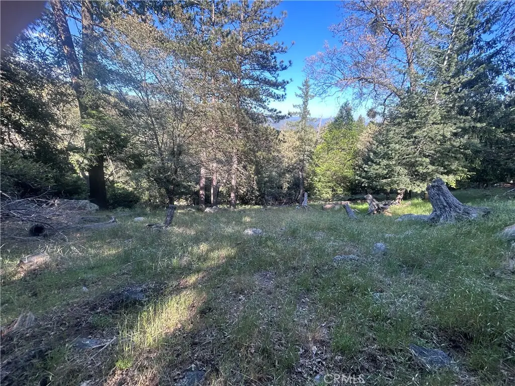 342 Canyon Dr, Cedarpines Park, CA 92322 - #1