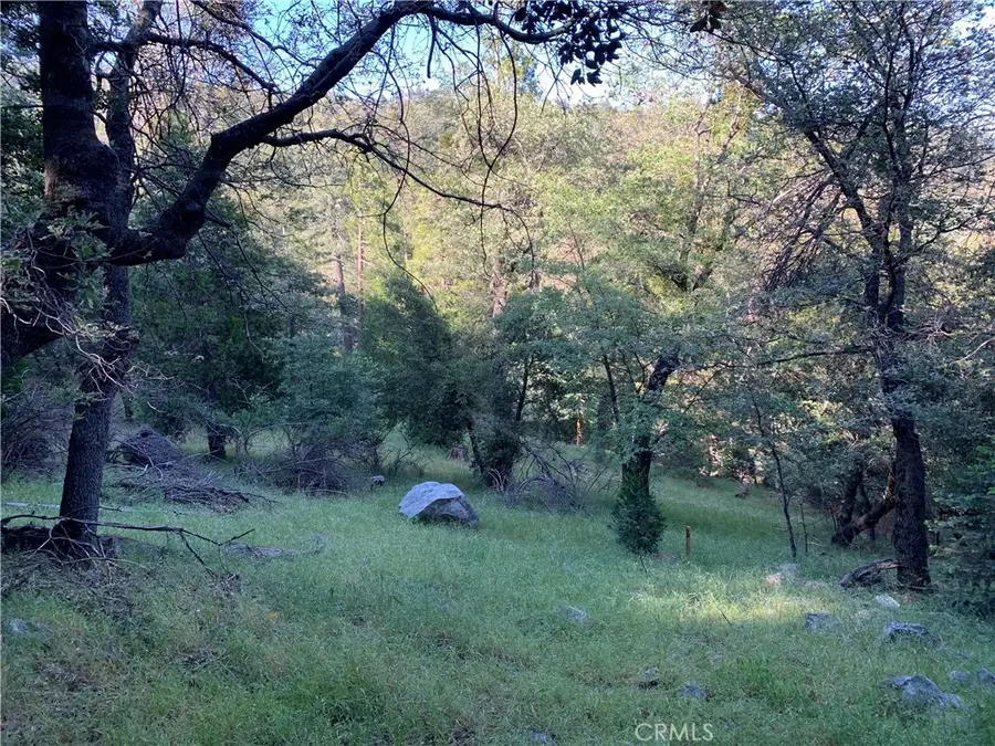 342 Canyon Dr, Cedarpines Park, CA 92322 - #2