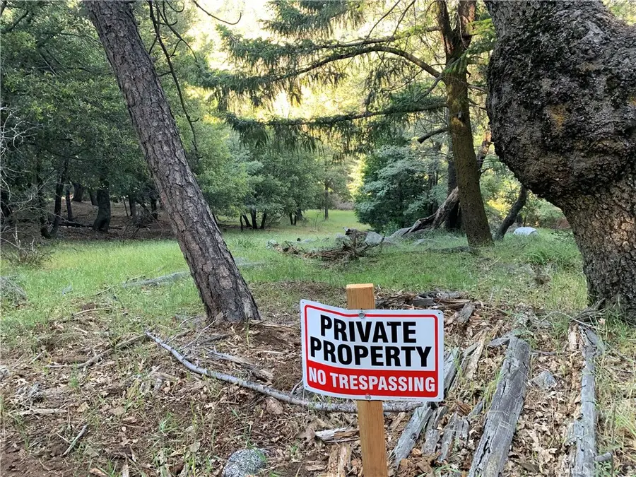 342 Canyon Dr, Cedarpines Park, CA 92322 - #3