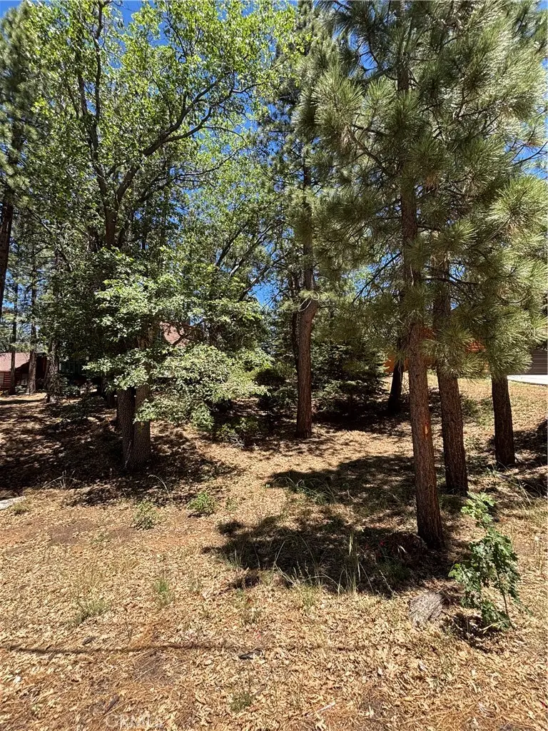 815 Conklin, Big Bear Lake, CA 92315 - #3