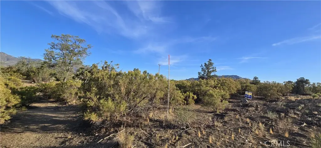 64001 Palm Canyon, Mountain Center, CA 92561 - #1