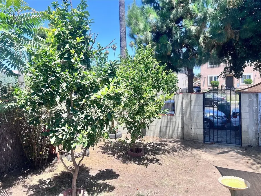 314 W 66th, Los Angeles, CA 90003 - #3