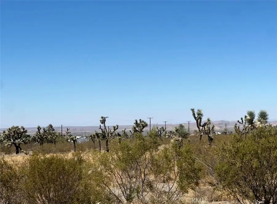 0 Bear Valley Road, Pinon Hills, CA 92372 - #3
