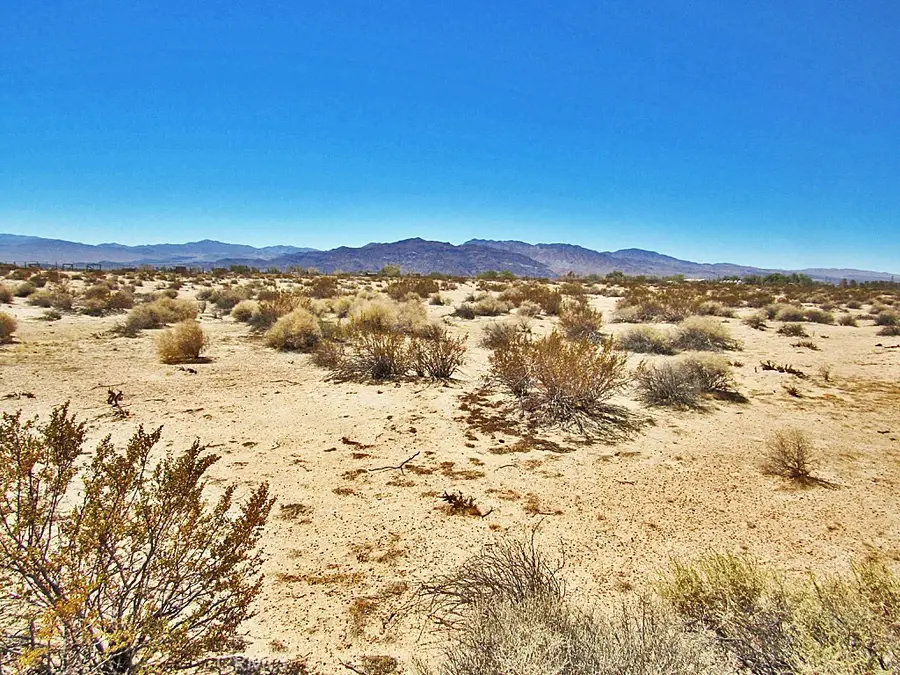34348 Lakeview Avenue, Newberry Springs, CA 92365 - #2