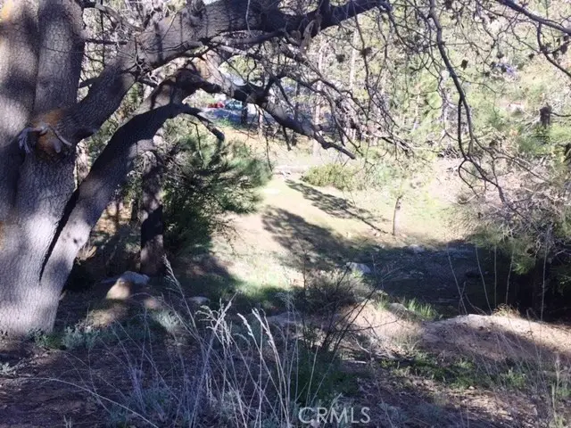 0 Talmadge, Big Bear, CA 92315 - #3