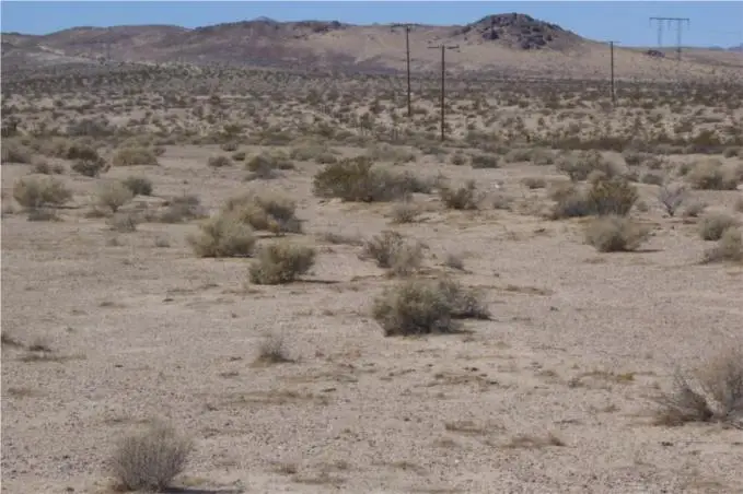 46016 Manix Road, Newberry Springs, CA 92365 - #3
