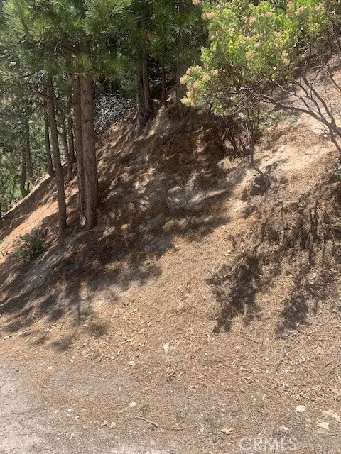 27346 N Bay Rd, Lake Arrowhead, CA 92352 - Image #2