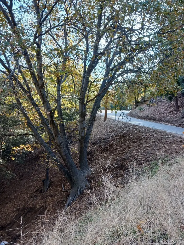 24764 Edelwiess Drive, Crestline, CA 92325 - #3