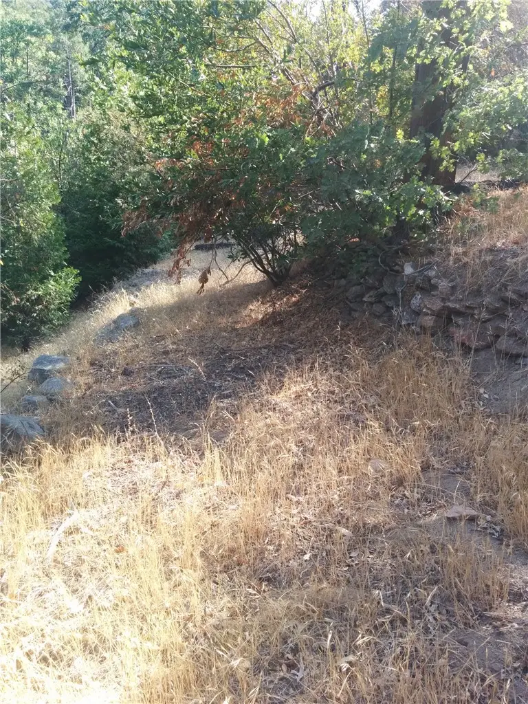 787 Burnt, Cedarpines Park, CA 92322 - #3