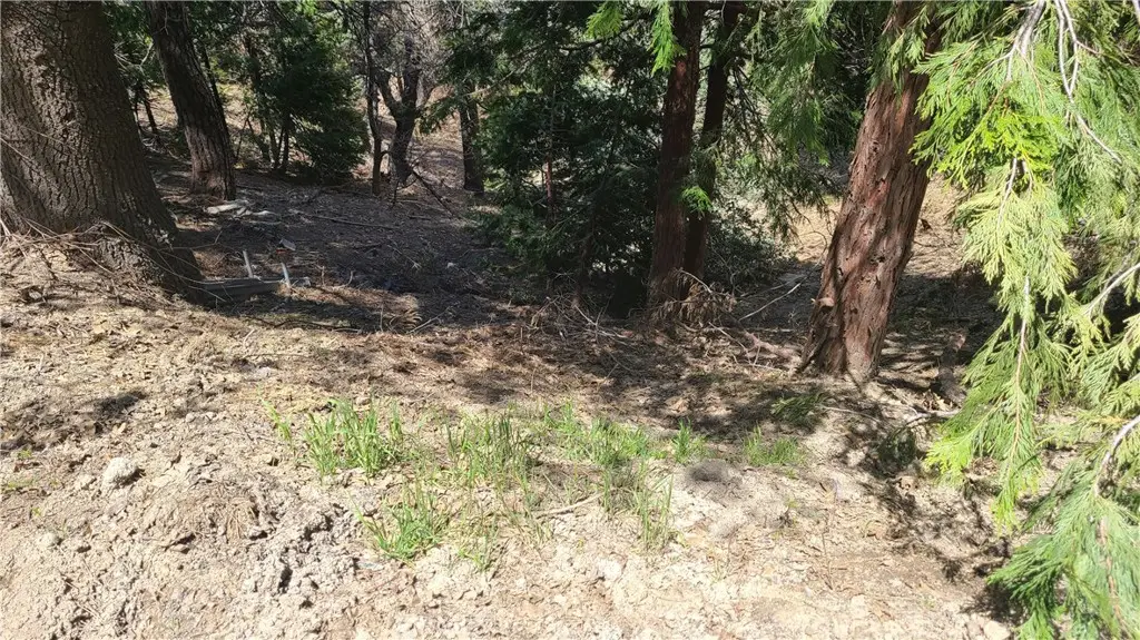 29186 Arrowhead Drive, Cedar Glen, CA 92321 - #1
