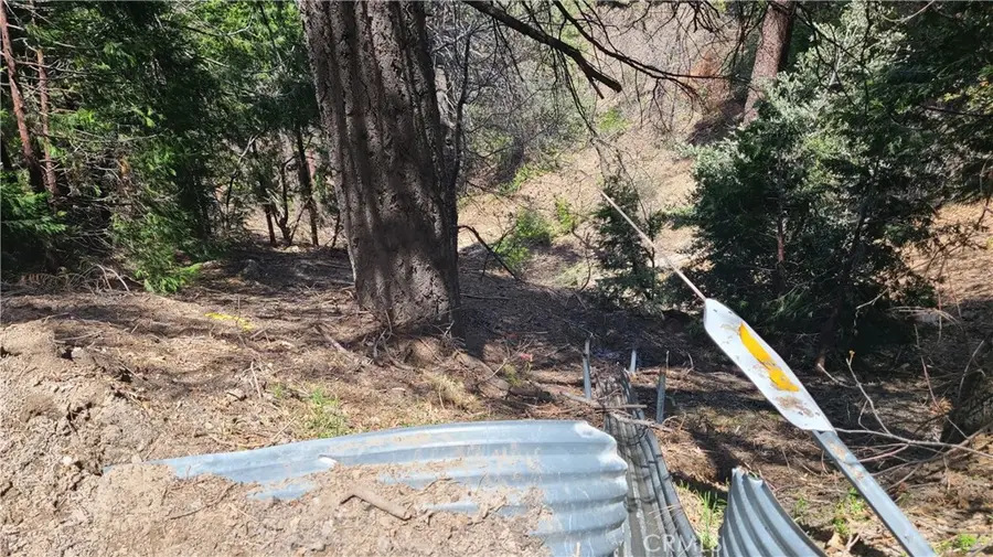 29186 Arrowhead Drive, Cedar Glen, CA 92321 - #2