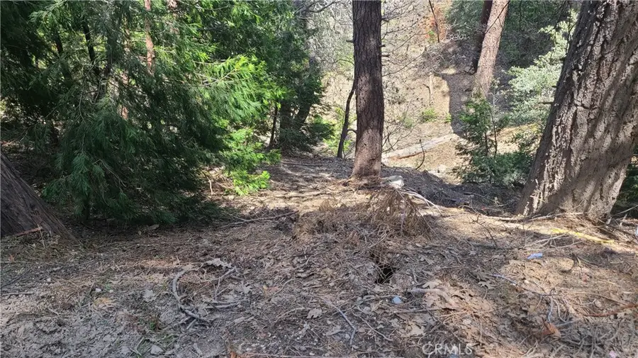 29186 Arrowhead Drive, Cedar Glen, CA 92321 - #3