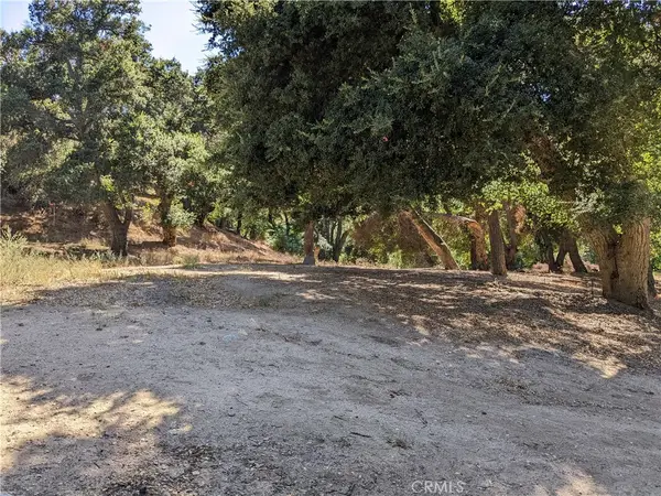 0 San Francisquito Cyn Rd, Green Valley, CA 91350