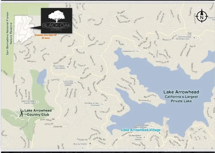 0 Black Oaks Drive, Lake Arrowhead, CA 92352 - Image #3