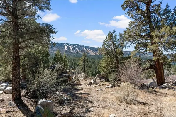 42565 Pegasus Way, Big Bear Lake, CA 92315
