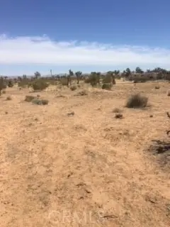0 Xxxx, Twentynine Palms Yucca Valley, CA 92277 - #1