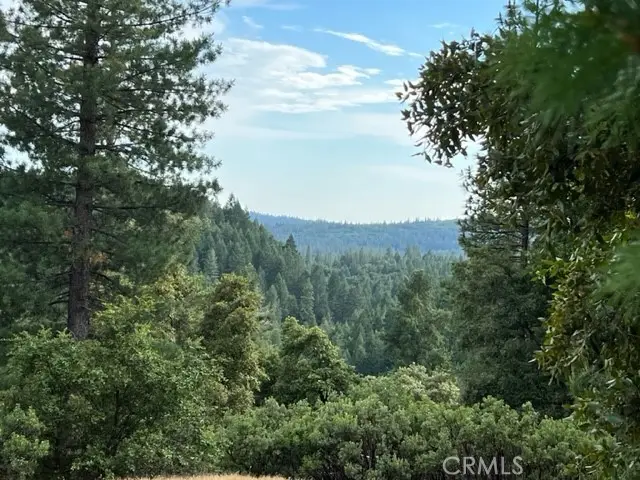 12444 Manion Canyon Road, Grass Valley, CA 95945 - Image #3