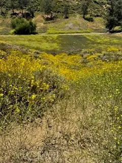 0 Mcburney Ave, Lake Elsinore, CA 92530 - #3