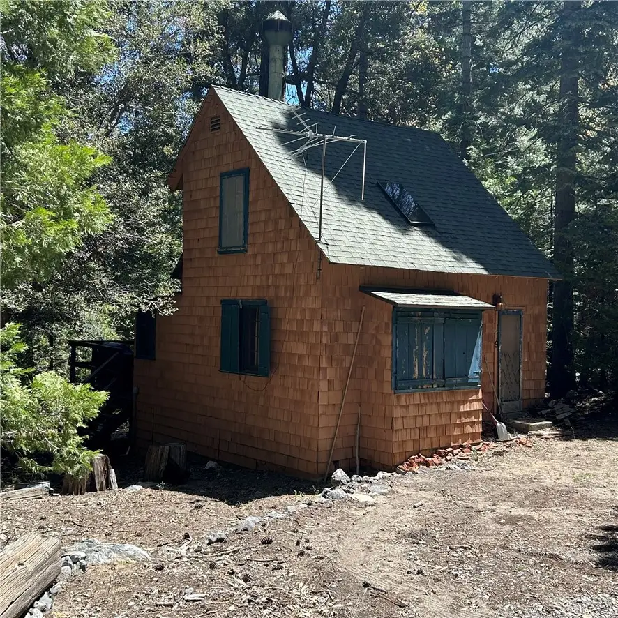 119 Barton Flats Trail, Angelus Oaks, CA 92305 - #1