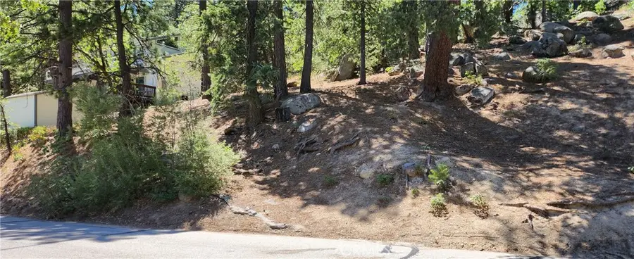 32311 Fern Drive, Running Springs, CA 92382 - Image #2