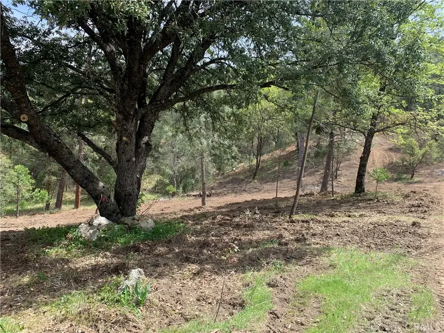 222 Rd 222, Oakhurst, CA 93644 - #2