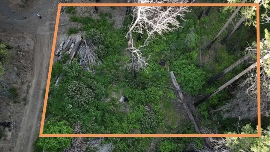 0 Toyon Trail, Berry Creek, CA 95916 - Image #2