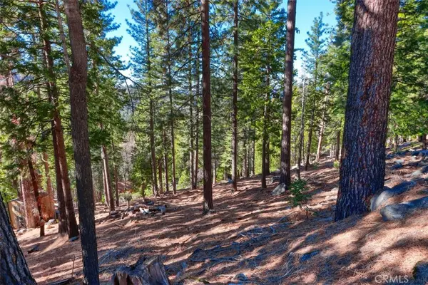 7349 & 7473 Yosemite Park Way, Yosemite, CA 95389