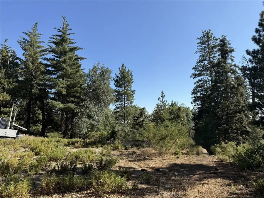 0 Ca-38, Angelus Oaks, CA 92305 - #3