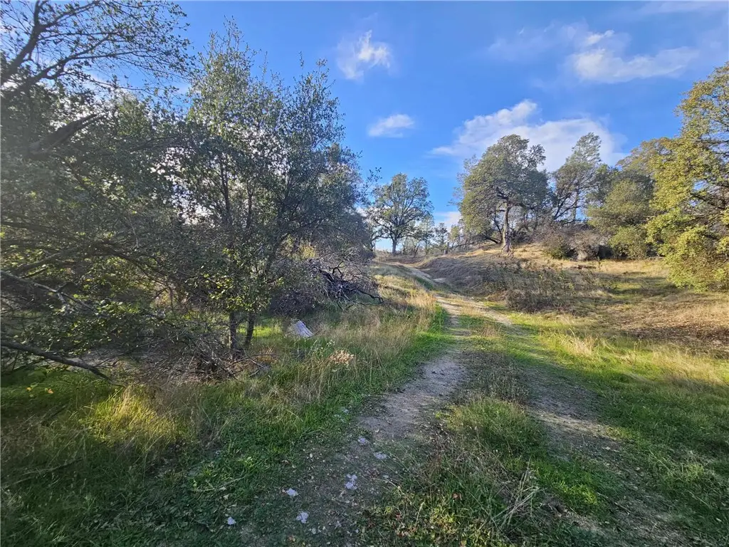 58111 Lark, North Fork, CA 93643 - #1