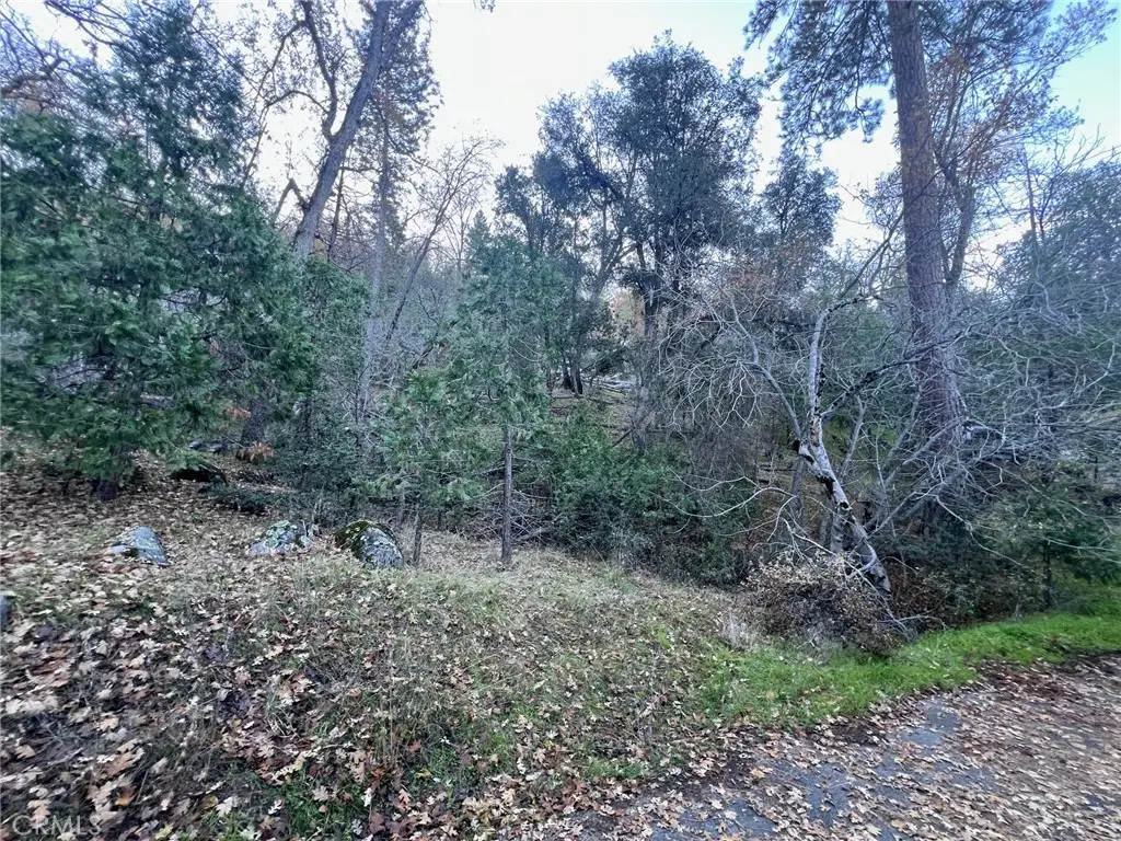 0 Snowy Creek Way, Coarsegold, CA 93614 - Image #1
